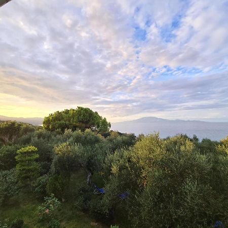 Villa Agia Aikaterini Амуди Экстерьер фото