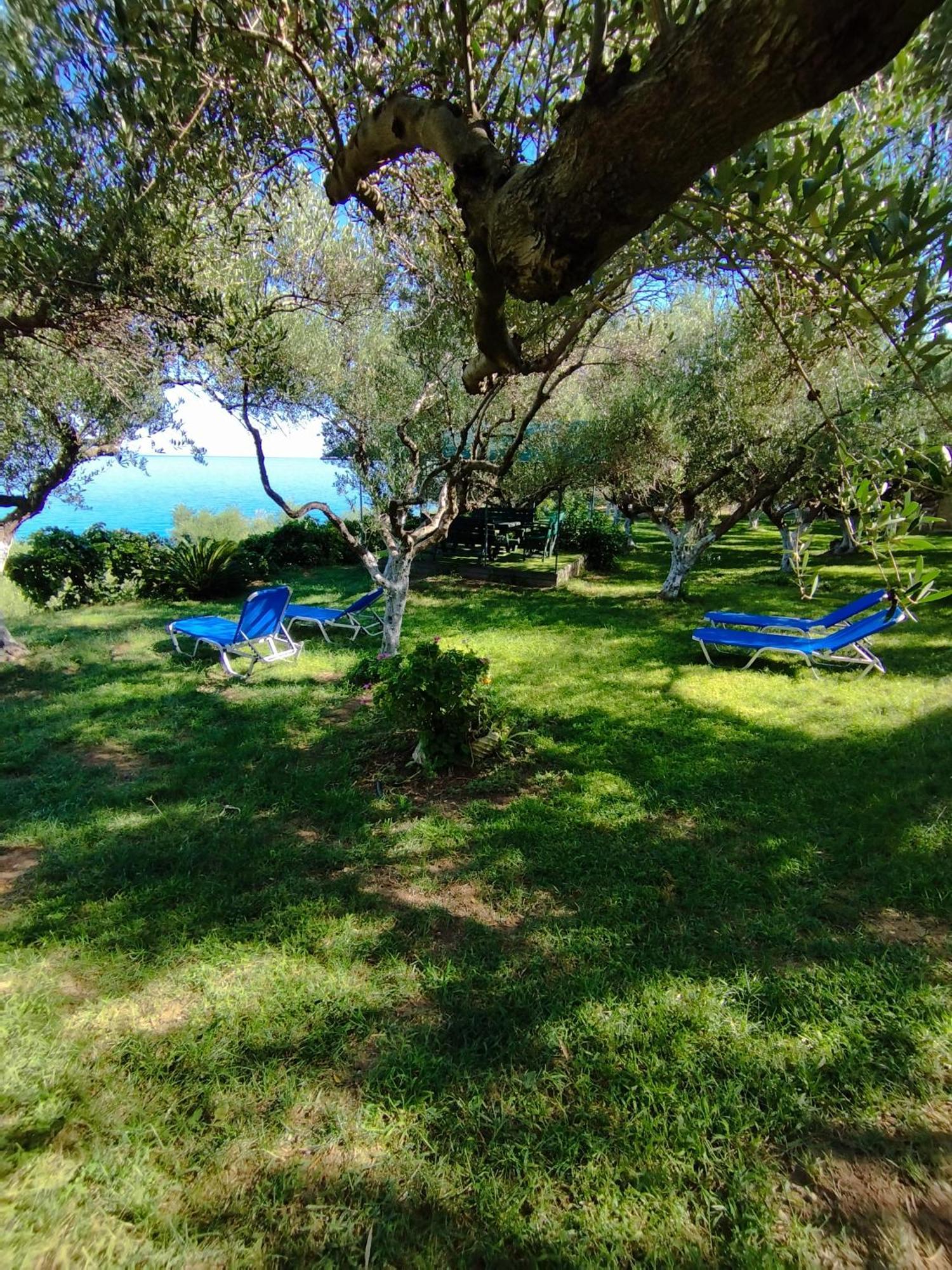 Villa Agia Aikaterini Амуди Экстерьер фото