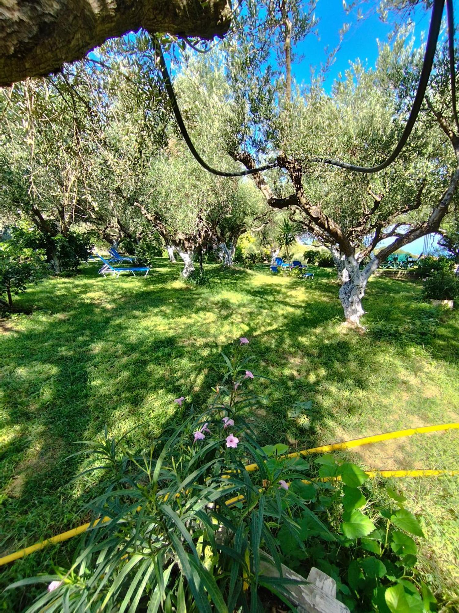 Villa Agia Aikaterini Амуди Экстерьер фото